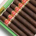 HVC Selección No. 1 Maduro Short Robustos (4 1/2 x 52)